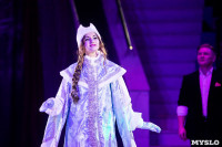 Премьера новогоднего шоу в Тульском цирке, Фото: 44