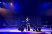 Хоровод в Тульском цирке, Фото: 84