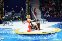 Цирк на воде «Остров сокровищ» в Туле: Здесь невозможное становится возможным, Фото: 94