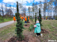 ЕВРАЗ посадил в Пролетарском парке 100 деревьев, Фото: 38