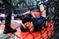 В «Тула-Арене» состоялись областные соревнования по ММА, Фото: 6