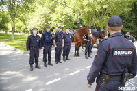 Конный патруль в Туле, Фото: 5