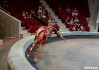 «В Тульском цирке прошла открытая репетиция программы «Цирк зажигает огни», Фото: 74