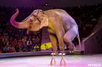 Цирк Инди Ра, Фото: 79