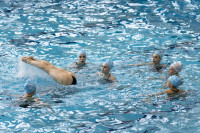 первенство цфо по синхронному плаванию, Фото: 60