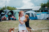 Всероссийская выставка собак в Туле, Фото: 37