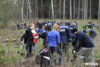 Высадка деревьев в Белевском лесничестве, 4.05.2016, Фото: 33