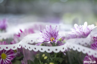 Леруа Мерлен Цветы к празднику, Фото: 3