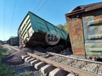 В Тульской области грузовой поезд сошел с рельсов, Фото: 38