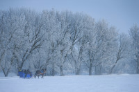 «АртЗима» на Куликовом Поле: лошади, иглу и блины на пеньках, Фото: 1