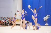 Соревнования по художественной гимнастике на призы благотворительного фонда «Земляки», Фото: 77
