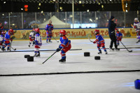 «Академия Михайлова» и Губернский каток 2025, Фото: 9