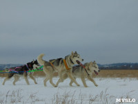 Зимний поход с собаками, Фото: 4