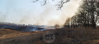 Рядом с микрорайоном полыхает поле: огонь растянулся примерно на километр, Фото: 7