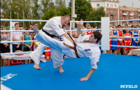Турнир по боксу в Алексине, Фото: 19