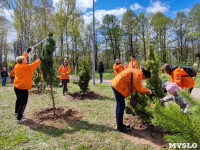 ЕВРАЗ посадил в Пролетарском парке 100 деревьев, Фото: 49