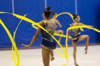 В Туле стартовало первенство Центрального федерального округа по художественной гимнастике, Фото: 41