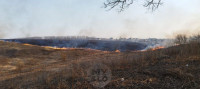 Рядом с микрорайоном полыхает поле: огонь растянулся примерно на километр, Фото: 1