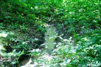 В реку Иншинку несколько лет стекает канализация, Фото: 4