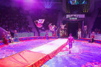 Шоу Гии Эрадзе «5 континентов» в Тульском цирке: феерия уже началась!, Фото: 16