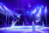Премьера новогоднего шоу в Тульском цирке, Фото: 57