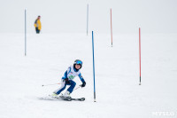 Третий этап первенства Тульской области по горнолыжному спорту., Фото: 21