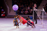 Губернаторская ёлка в Тульском цирке, Фото: 3