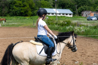 А пони тоже кони: 9-летняя тулячка – числе лучших в конном спорте по выездке, Фото: 22