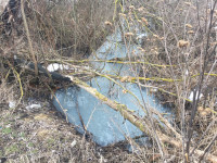 Химическая пена и ядовитый запах: в реку под Новомосковском сливают неизвестные отходы, Фото: 1