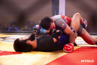 Турнир по ММА памяти Алексея Калинина собрал лучших бойцов страны: фоторепортаж, Фото: 55