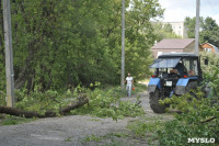 В Туле проводят работы по благоустройству зон отдыха. 26 июля 2014 год, Фото: 5