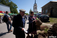 В Тульской области прошел фестиваль крапивы, Фото: 3