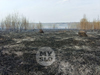 В Туле загорелось поле, Фото: 6