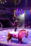 Успейте посмотреть шоу «Новогодние приключения домовенка Кузи» в Тульском цирке, Фото: 72
