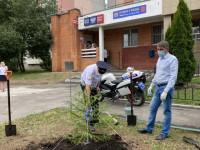 В Туле посадили еловую аллею в честь 85-летию со дня образования ГАИ-ГИБДД, Фото: 19