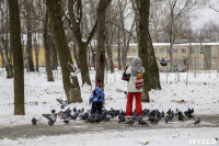 Рогожинский парк, зима 2019, Фото: 7