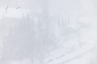 Тула в снежном плену: фоторепортаж с улиц города, Фото: 23
