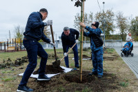 Администрация Тулы вместе с депутатами высадили клёны во дворе дома для военнослужащих в Туле, Фото: 7