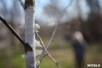 Посадка деревьев в Комсомольском парке, Фото: 41