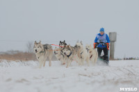 Гонки на собачьих упряжках «Большой тур» на Куликовом поле, Фото: 42