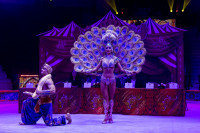 Цирковое шоу 5 континентов , Фото: 44