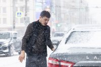 Тула в снежном плену: фоторепортаж с улиц города, Фото: 31