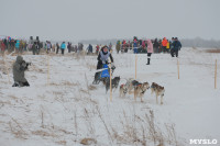 Гонки на собачьих упряжках «Большой тур» на Куликовом поле, Фото: 37
