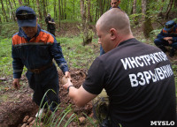 В лесу под Тулой поисковики нашли тайник с гранатами, Фото: 38