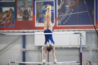 Всероссийские соревнования по спортивной гимнастике, Фото: 63