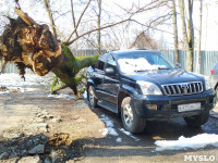 Дерево упало на машину на проспекте Ленина, Фото: 2