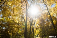 Золотая осень в Ясной Поляне, Фото: 9