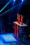 Успейте посмотреть шоу «Новогодние приключения домовенка Кузи» в Тульском цирке, Фото: 81