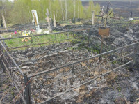 Сгоревшее кладбище в Алексине, Фото: 29