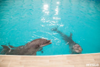 Дельфины, Фото: 13